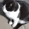 iskra.djilda
