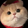 cutecatoo76