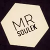 mr.soulek
