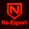 nesport36