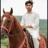 arslan.jani2365