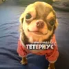 teteriuskaa