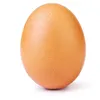 egg7365
