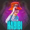 HABIBI