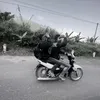 the.anh995