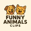 funny_animals.clips