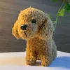 chicopelucio