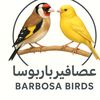 barbosabirds