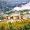 Hoà Bình Xin💗