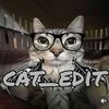 cat_edit1248