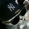 enxy.music