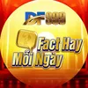 DF999 Fact Hay Mỗi Ngày