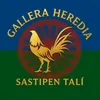 gallera_heredia_93