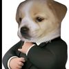 pollo.feliz602