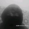 mihameddd.bd