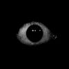darknessnone8