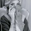 elnoon7530