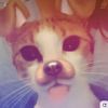 cwdsy1