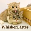 Whisker Lattes