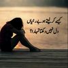 javed_iqbal525