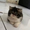 luvv.cutiee._1
