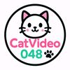 cat video 048