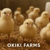 okikifarms