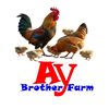 aybrotherfarm