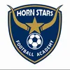 HORNSTARSFA