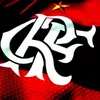 flamengo minha paixao ❤️🖤