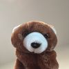 bear🧸
