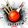 cricket.hightlits2