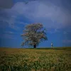 alexnguyen_07_03