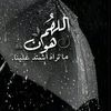 maryammohameed7882