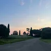 _dyy104