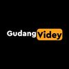 Gudang Videy 2025