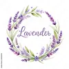 lavende029