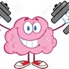 brain.quiz797