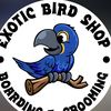 Exotic Bird Shop