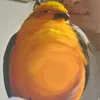chonkybirb.marjaan