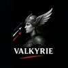 valkyries.francaise