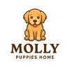 mollypuppieshome1