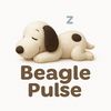 beagle pulse