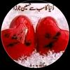 iqbal.hussain.kha90