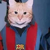 gatinhodobarca