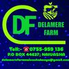Delamere farm animal shop