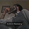 aesthetichammad81