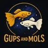 gupsandmols