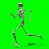 greenscreenskelet