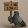sigeon.sorn